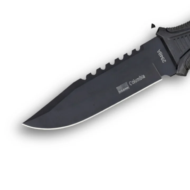CJqQ0ut8HdR6Pr1rEIRbyQG7uFdp6BNn